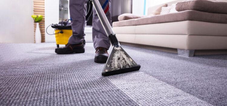 Can You Guess The Best Homemade Carpet Cleaning Solution?