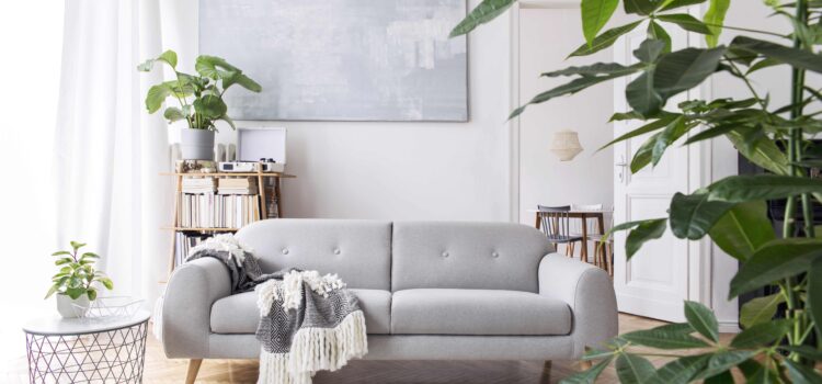 How to decorate your living room with a couch