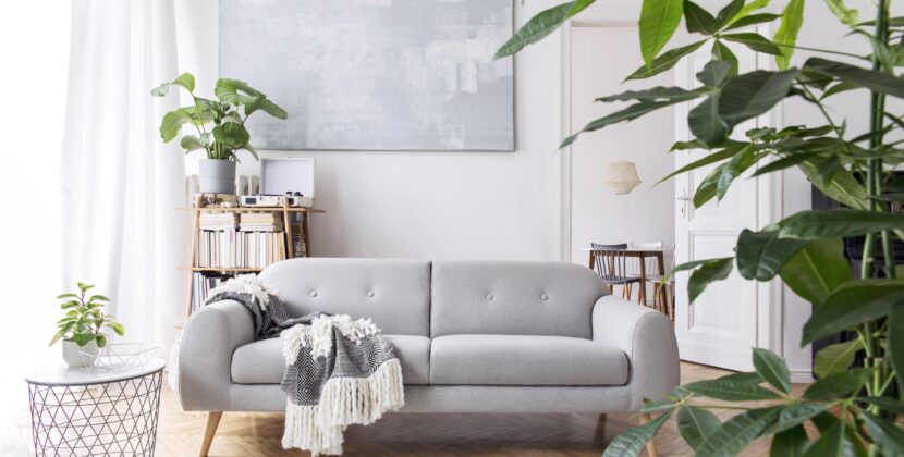 How to decorate your living room with a couch