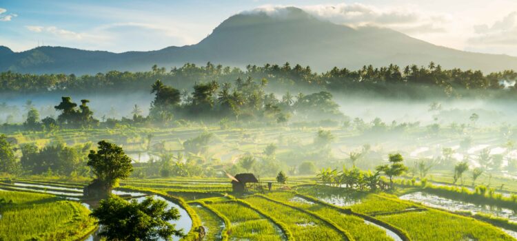How to Navigate the Bali Real Estate Market