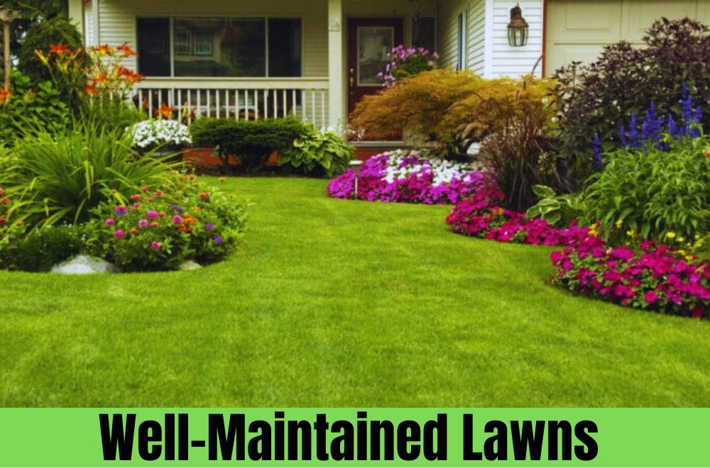 Well-Maintained Lawns