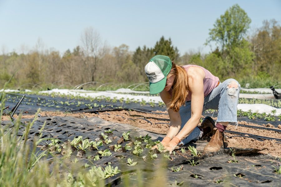 Organic Gardening