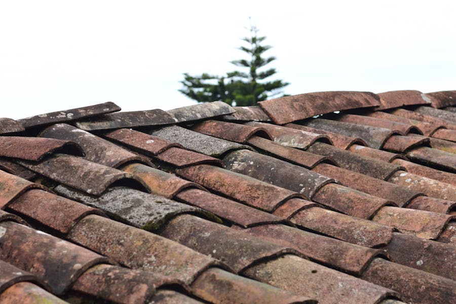 How Often Should You Clean Your Roof