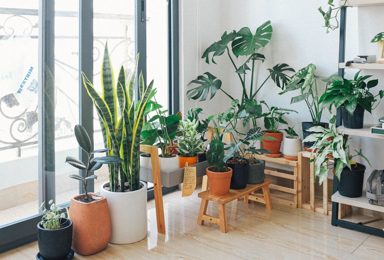 Use Greenery to Refresh Interiors