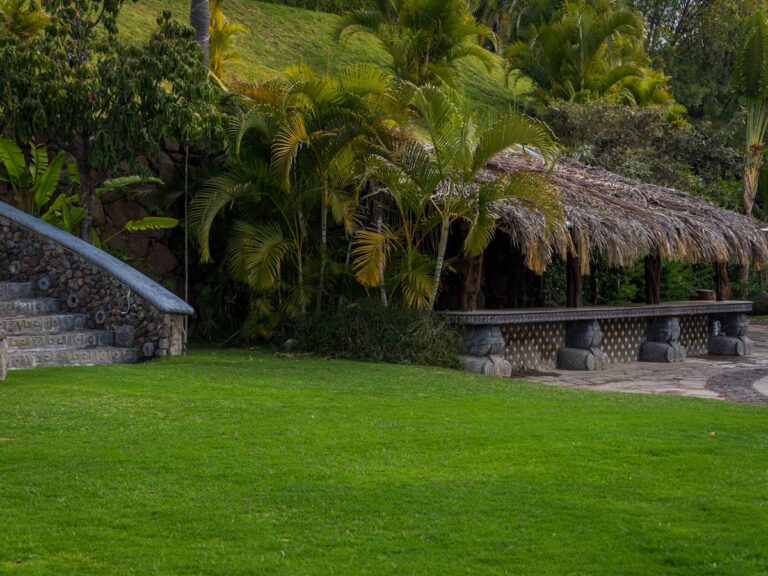 New Grass Installation Florida: What Homeowners Should Know