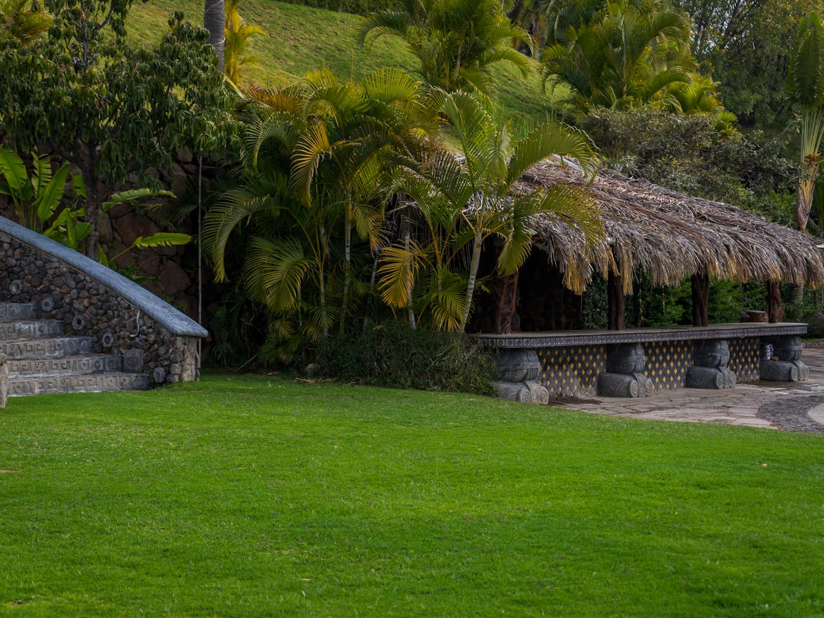 New Grass Installation Florida: What Homeowners Should Know