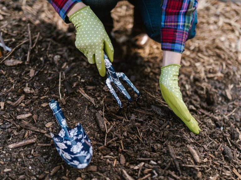 The Real Reason Your Mulch Beds Look Washed Out Every Spring